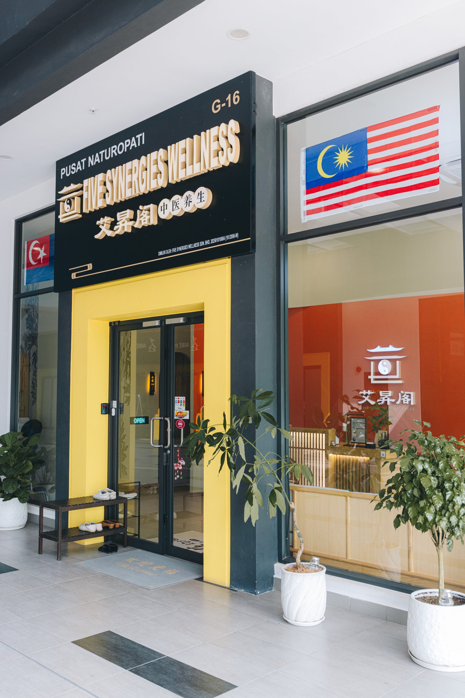 Five Synergies Wellness